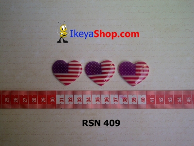 rsn 409  large2